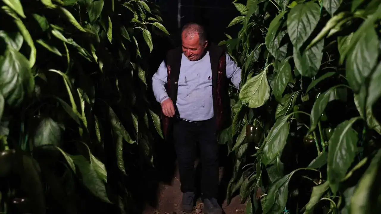 Antalya’da Don Nöbeti Tarihe Karışıyor 4